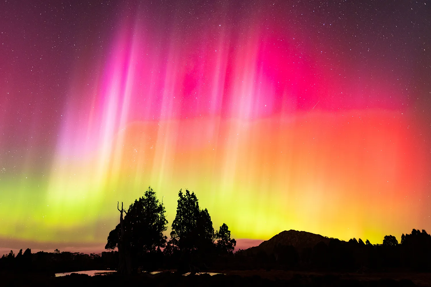Southern Lights stewart island